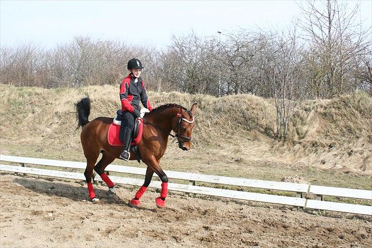 Anden særlig race Bakkely's Rosa - Lidt dressur efter at have været oppe med Rosa og Maxi til Laura Bjerregaard fødselsdag, Foto:far billede 16