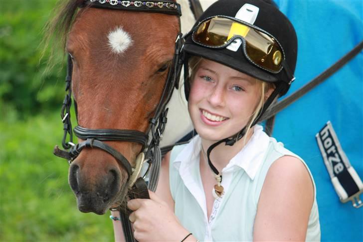 Shetlænder smilla *gamle part* <3 billede 13