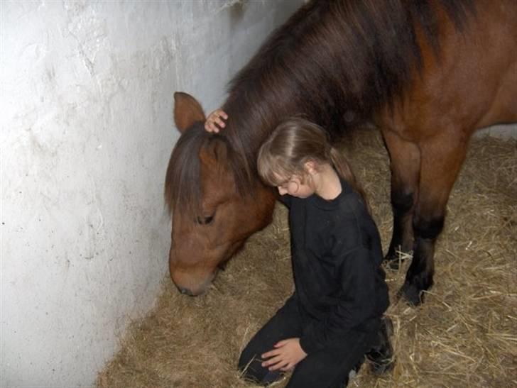 Anden særlig race Twiggi  † R.I.P † <33! - 11.Mig og Twiggi hygger i boksen mit ynglings billed <3<3<3 billede 10