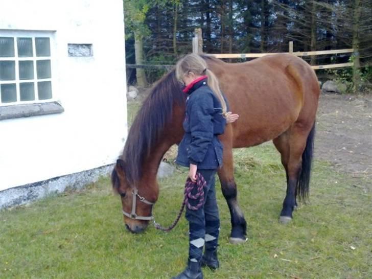 Anden særlig race Twiggi  † R.I.P † <33! - 12.Twiggi græsser lidt :)<3 billede 11