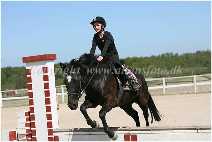 Anden særlig race Jasmin billede 17