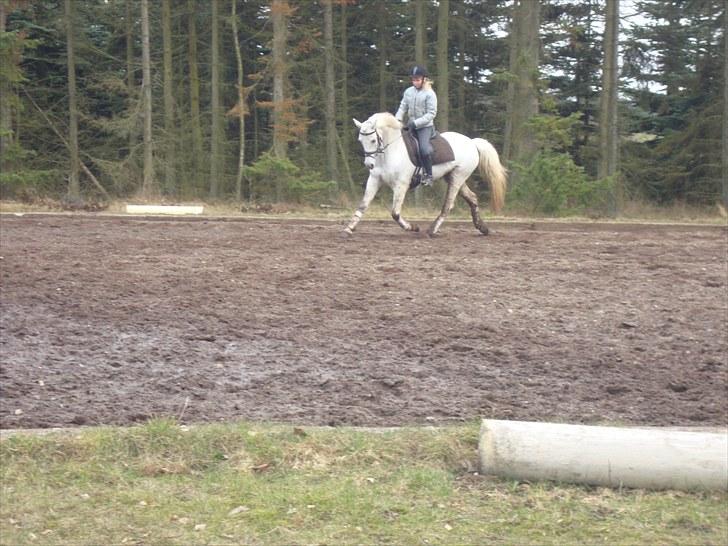 Connemara Lilleskov´s Juvel - Juvel, træning 2010 <3 billede 16