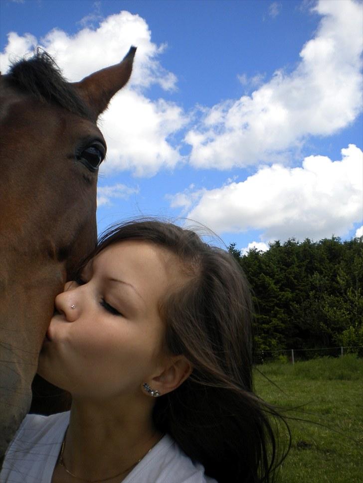 Dansk Varmblod Faster - Jeg elsker dig Faster <3 billede 11