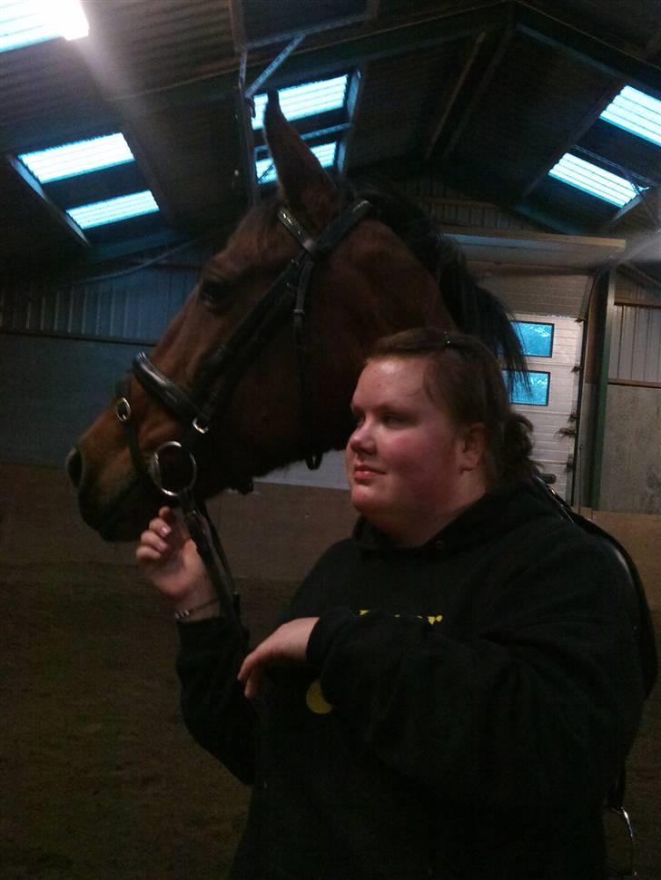 Dansk Varmblod Prinsesse Isabella billede 5