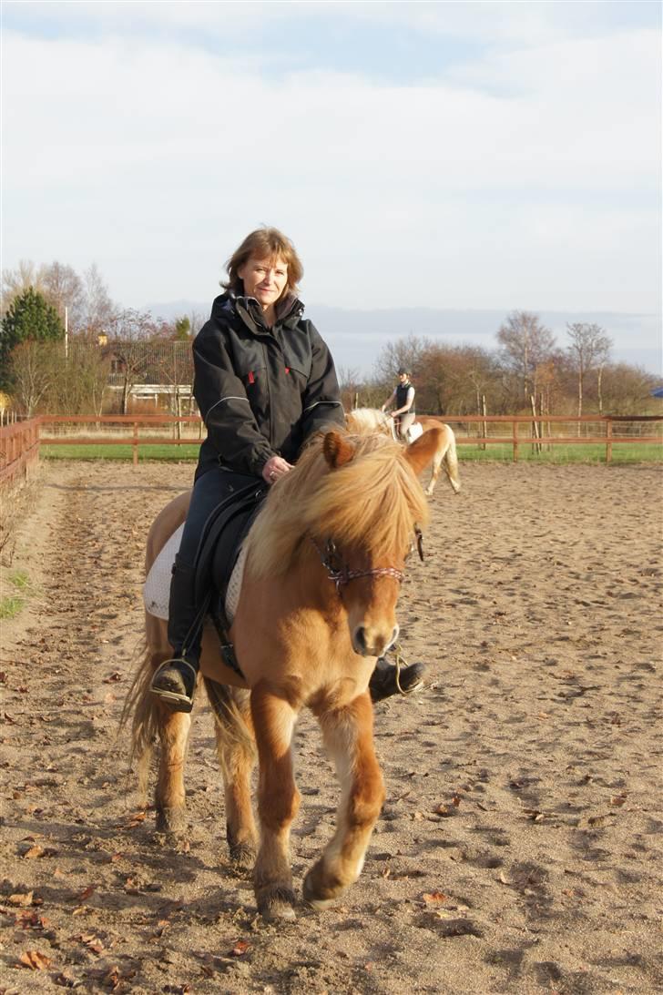 Islænder Ölveig frá Akrakoti - Ölveig og jeg på banen. billede 2