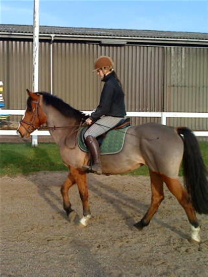 New Forest Fleur   - Fleur!<3 billede 10