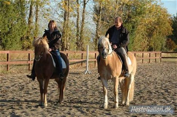 Islænder Ölveig frá Akrakoti - Min mand og jeg på vores Sølvbryllupsdag. billede 17