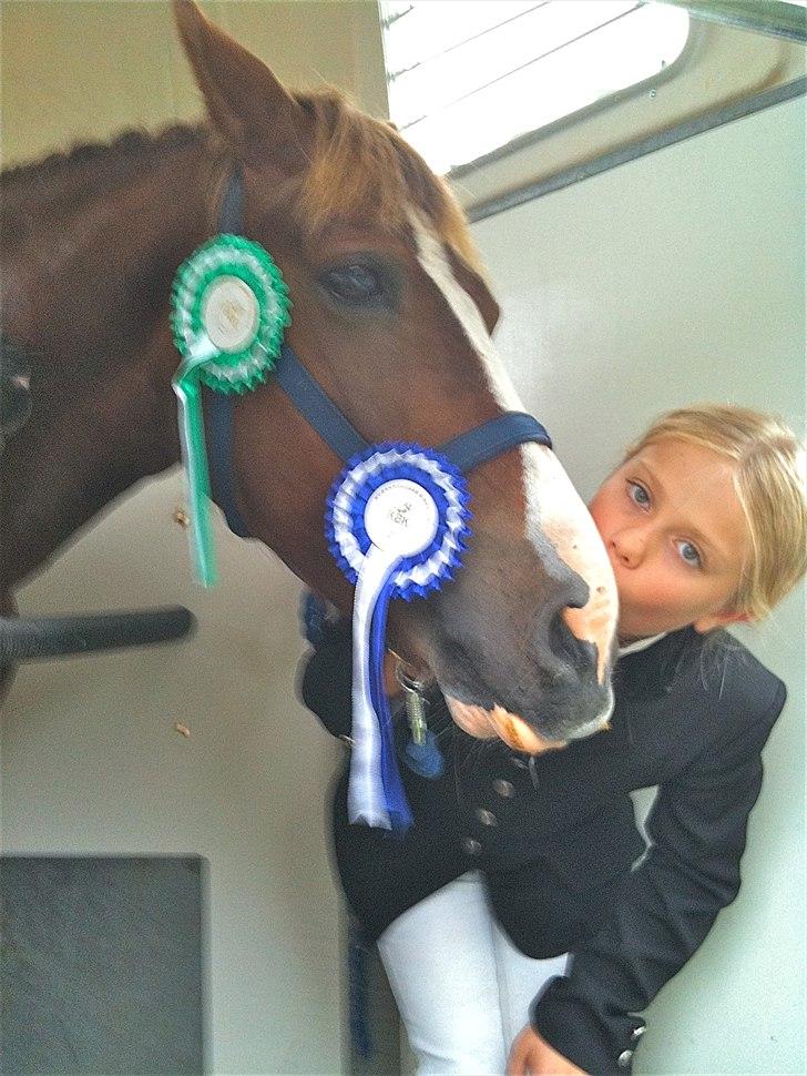 Anden særlig race Chanel - kommunemester 2013 spring - 2. og 3. plads til første udestævne - elsker dig <3 billede 18