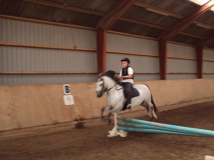 Anden særlig race Askepot  billede 3