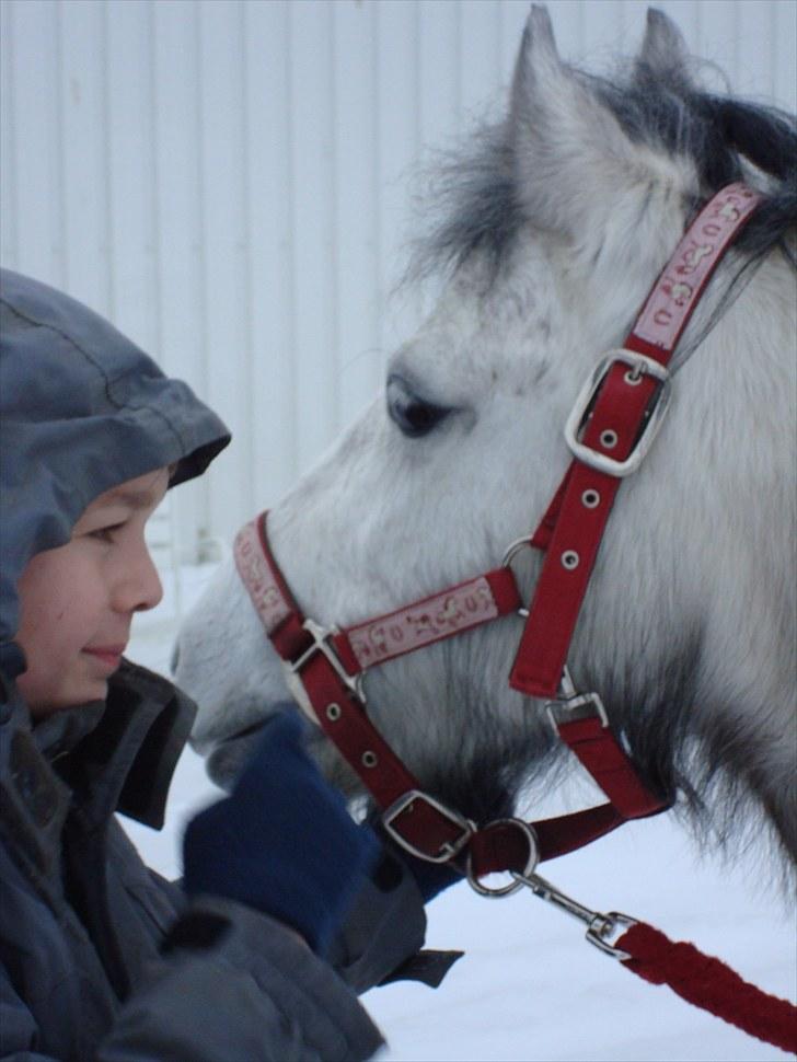 Anden særlig race Askepot  billede 6