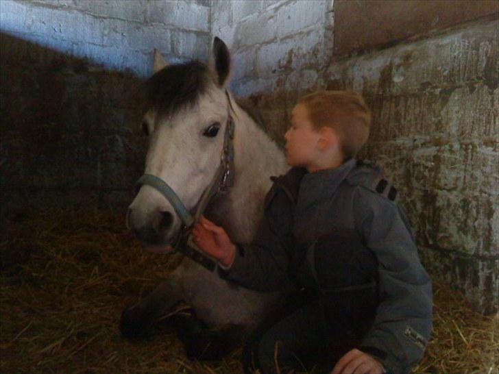 Anden særlig race Askepot  billede 11