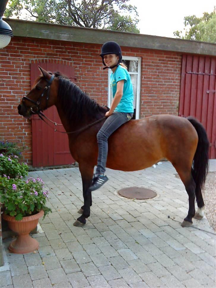 New Forest Lajka :') Elsket og savnet af rigtig mange :'i <3 - Lajka og Katrine :$  i er fantastiske (: <3 billede 11