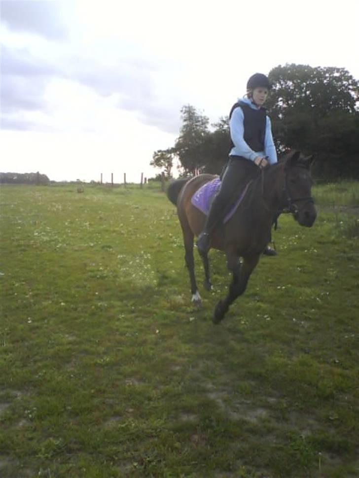 New Forest Lajka :') Elsket og savnet af rigtig mange :'i <3 - vi flyver afsted i denne verden <3 billede 13