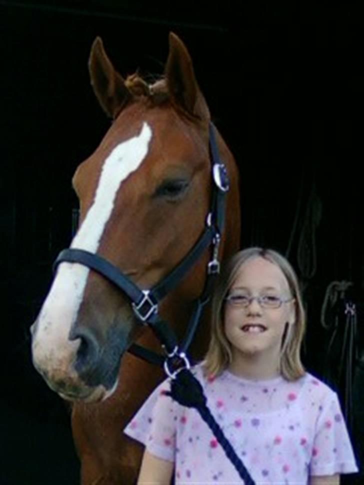 Anden særlig race paplo vixi billede 16