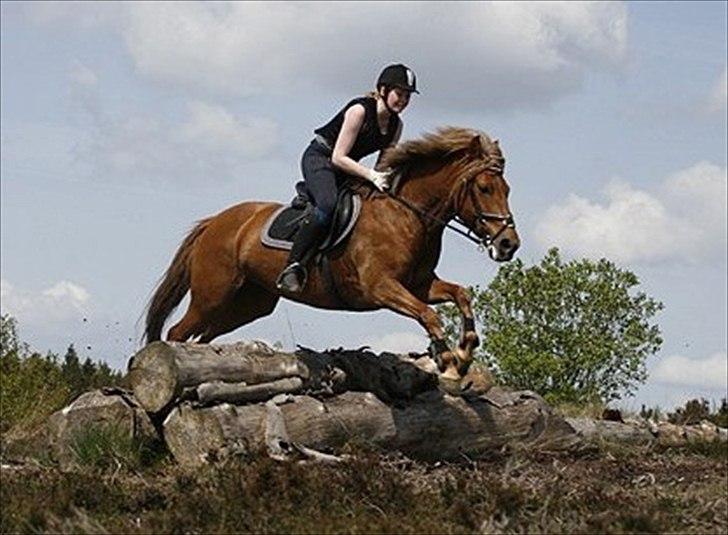 Anden særlig race Barcardi - Jagt træning - 2010 <3 :* billede 11