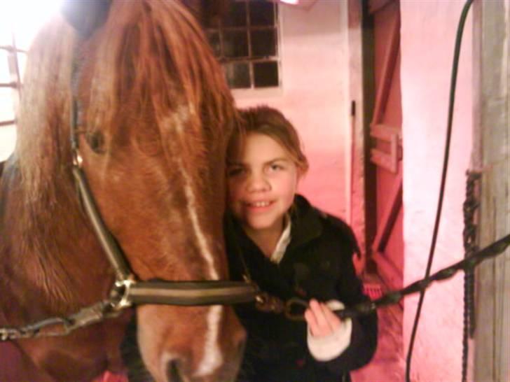 Anden særlig race Lukas  billede 14