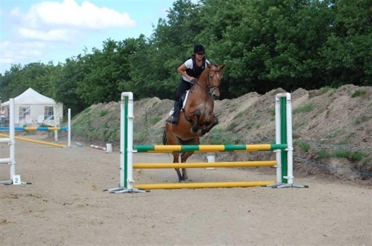 Oldenborg Elvina (Marmelade) - spring billede 11