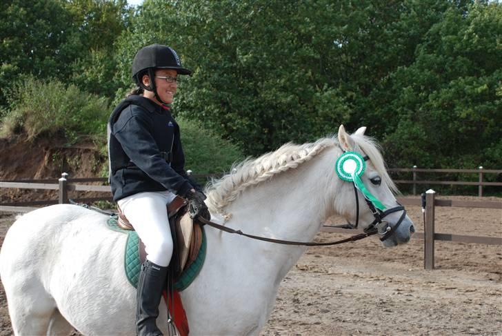 Welsh Pony (sec B) Korreborgs Kawango *MIT LIV* - Mig og Kawango til Springstævne på Vasehus  billede 16