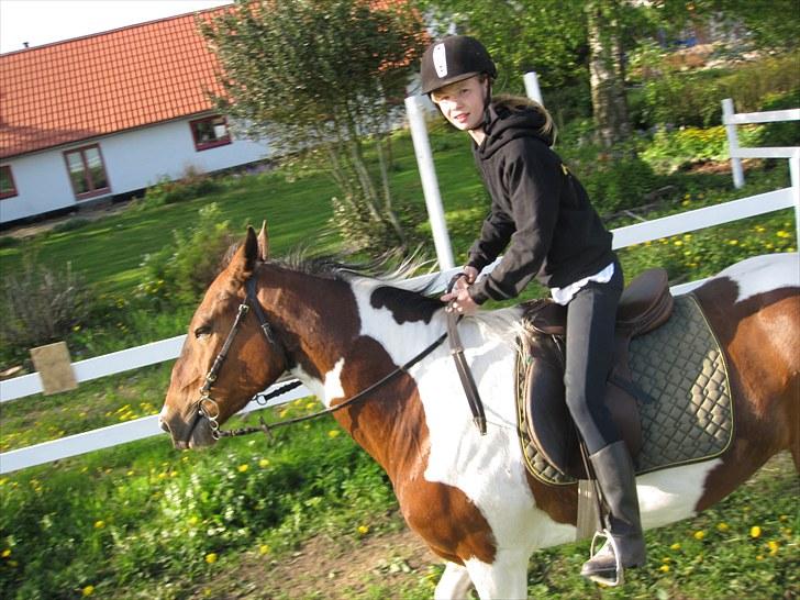 Pinto †Wivarto<3R.I.P 14/9-10;/† - Et kors 
Et hjerte 
Et anker 

Du vil ALTID være i mine tanker.

Kom tilbage :'( billede 11