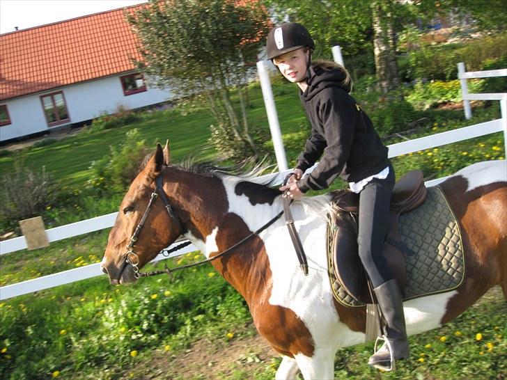 Pinto †Wivarto<3R.I.P 14/9-10;/† - Et kors 
Et hjerte 
Et anker 

Du vil ALTID være i mine tanker.

Kom tilbage :'( billede 11