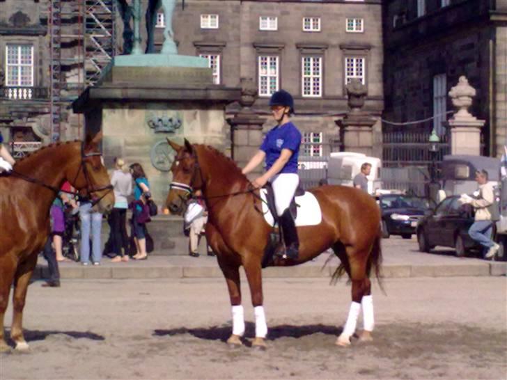 Frederiksborg Grethe Kolbe billede 2