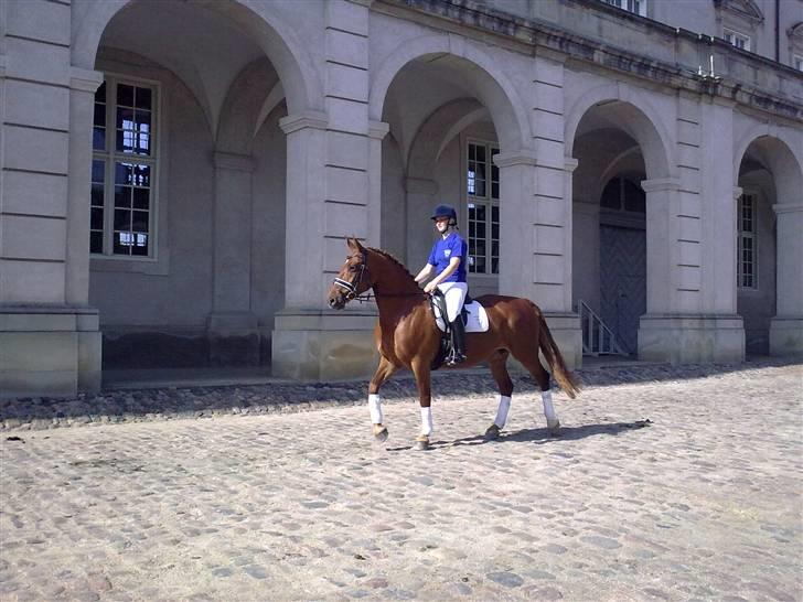 Frederiksborg Grethe Kolbe billede 3