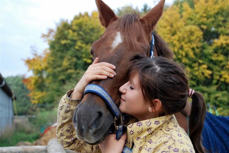 Tysk Sportspony Nerle solgt billede 4