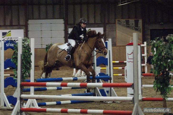 Anden særlig race Red Alert SOLGT :'/ - lidt et keglet billede xD Men ULB i HJR (NUL FEJL! FØRSTE FEJLFRIE LB <33) billede 18