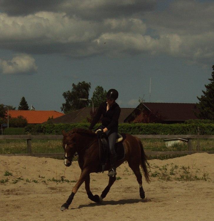 DSP Dressgirl Bitsch - undervisning. Foto: Louise billede 9