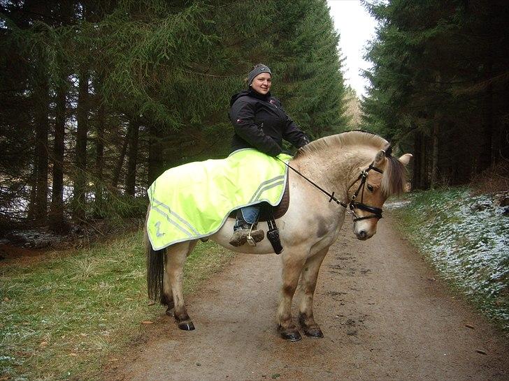 Fjordhest Pyrus R.I.P. :'( billede 4