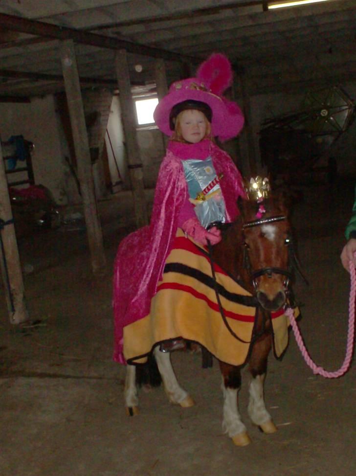 Anden særlig race Bella ( solgt ) - ja så var det fastelavn, ser vi ikke godt ud? billede 18