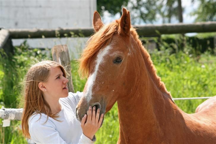 Anden særlig race Destiny billede 7