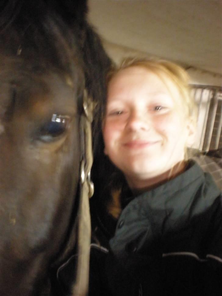 Anden særlig race Laika - us<33 billede 6