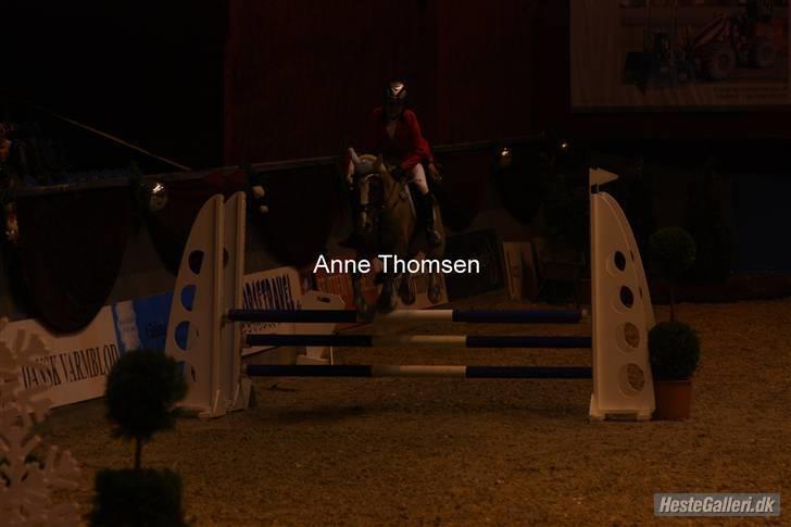 New Forest Orchid's Champer  - Christmas Show Warm Up 2009 <3 Foto: Anne Thomsen billede 10