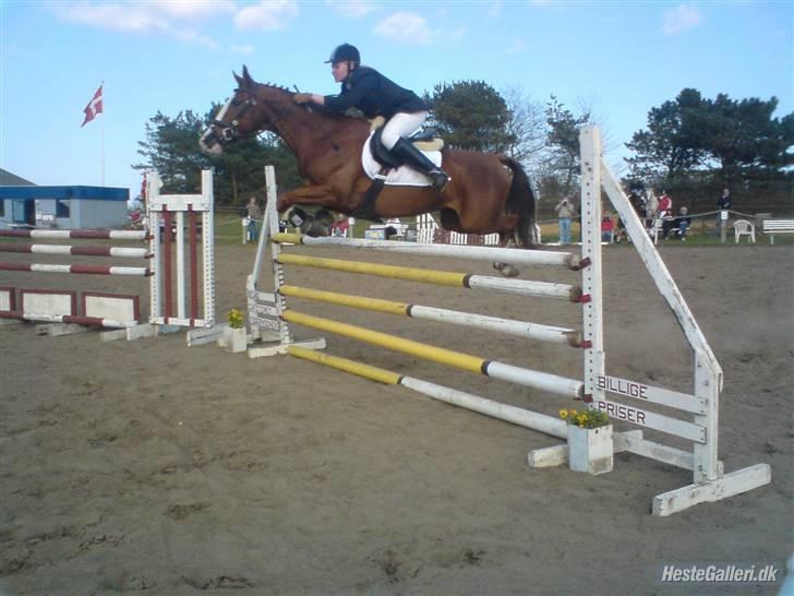 Anden særlig race Sahara - Første ULA. Tak til Karoline for det gode billede (: billede 19