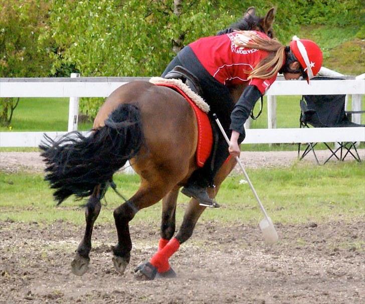 Anden særlig race Kiss Kiss Bang Bang DK  billede 20