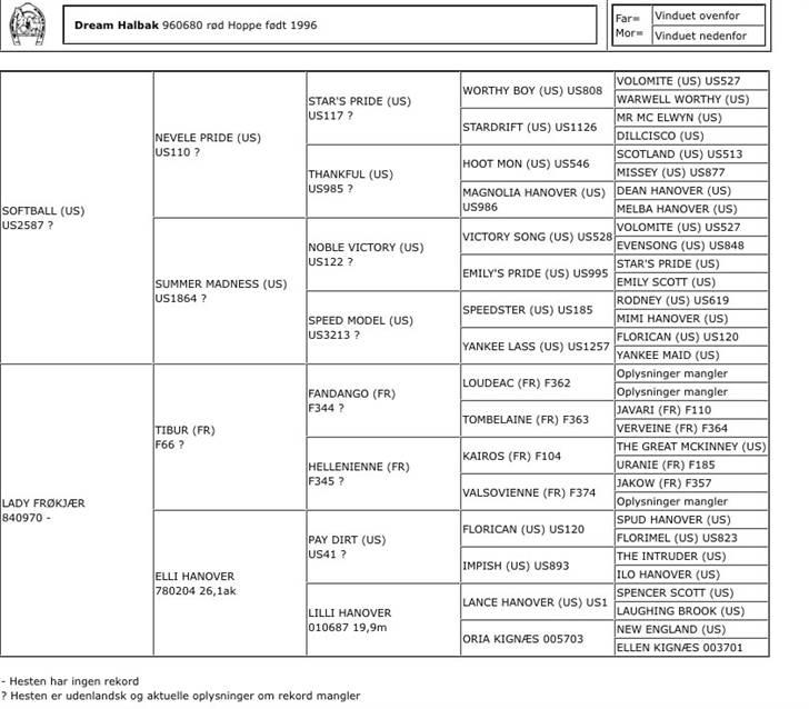 Traver Dream Haldbak billede 10