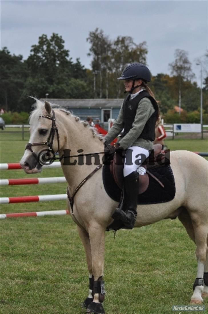 Welsh Pony (sec B) Rosengårdens Nathowra - Klar til at springe, he he:) Foto: Line Hald billede 20