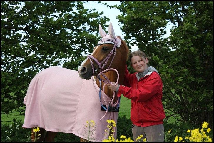 Hollandsk Sportspony Danja R.I.P. <3 - Velkommen til Danja´s profil. :D Lig gerne en kommentar + bedømmelse med på vejen. :) |En af vores sidste dage inden hun blev aflivet<3 Foto: Anna Hvid.| billede 1