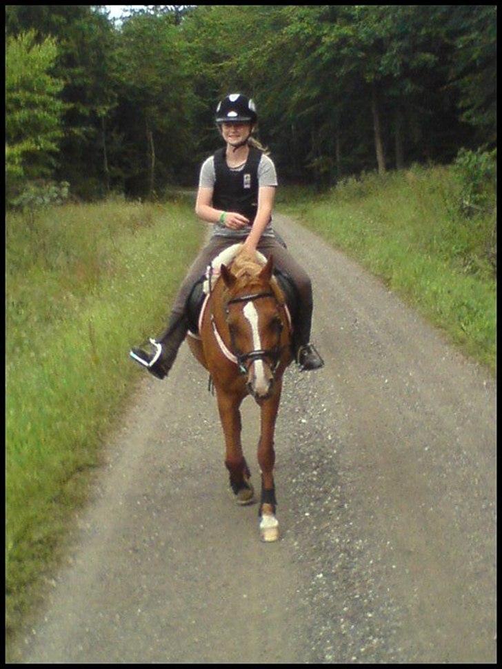 Hollandsk Sportspony Danja R.I.P. <3 - På skovtur med Kristine og Claire. :D <3 Foto: Kristine Jørsboe. billede 4