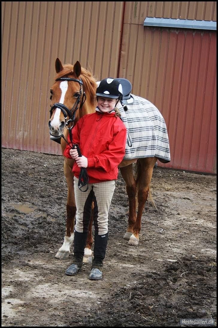 Hollandsk Sportspony Danja R.I.P. <3 - Efter træning. :-) Foto: Isabella Lundquist. billede 8