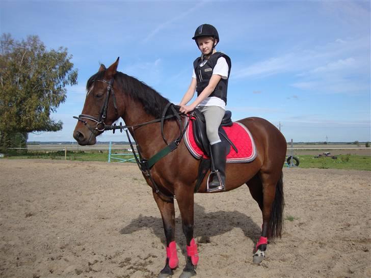 DSP Holstegaards Donna-Bell<3 billede 20
