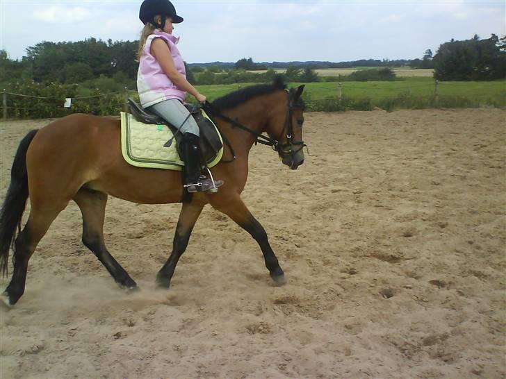 Anden særlig race Buster - Min første undervisningstime på Buster billede 1