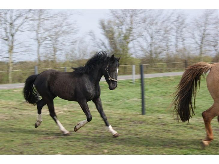 {{currentPhoto.altText}} billede {{currentPhoto.number}}