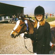 Welsh Mountain (sec A) Dizzy