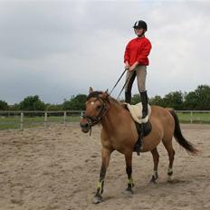 Anden særlig race Trøffel -SOLGT