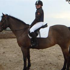 New Forest Holiday Dream