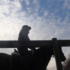 Anden særlig race Beauty 