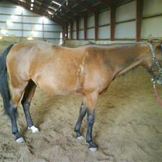 Anden særlig race trunde