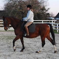 Anden særlig race Fanny